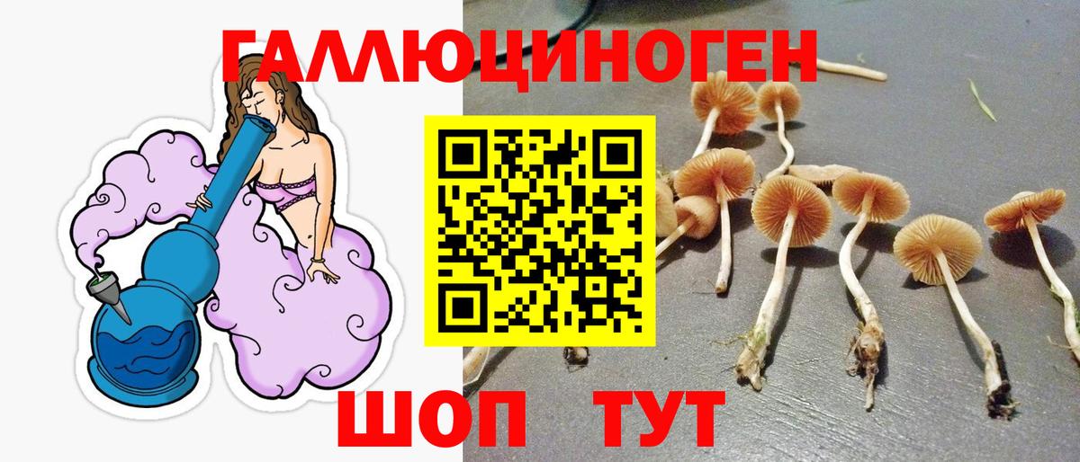 Шахты  Псилоцибиновые грибы GOLDEN TEACHER  Вход с VPN  Псилоцибиновые грибы мухоморы 