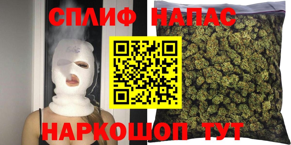 Каннабис сатива Шахты